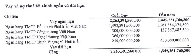 Chứng khoán DSC muốn vay ngân hàng hạn mức 700 tỷ để tự doanh