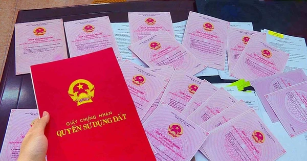 Bộ Tài nguyên bãi bỏ 5 thông tư về cấp sổ đỏ từ ngày 1/1/2025