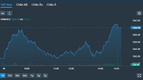 Cầu chủ động kéo giá, cổ phiếu nhỏ tăng rực rỡ