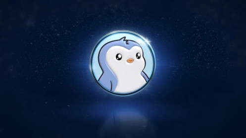 “Mất trắng” 10.000 USD vì mua PENGU ở vốn hóa 14 nghìn tỷ USD