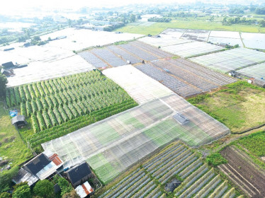 Đề xuất kéo dài miễn thuế sử dụng đất nông nghiệp đến hết năm 2030