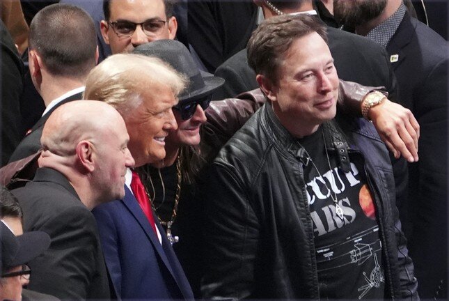 Tỷ phú Elon Musk gây sóng gió trên chính trường Mỹ ảnh 1