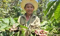 Hàng hóa rục rịch tăng giá trước Tết