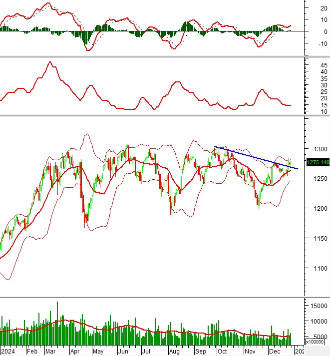 Phân tích kỹ thuật chứng khoán Việt Nam: Tuần 30/12/2024-03/01/2025