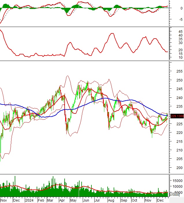 Phân tích kỹ thuật chứng khoán Việt Nam: Tuần 30/12/2024-03/01/2025
