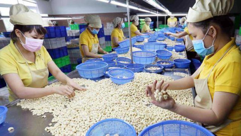 Thực thi hiệu quả các FTA: thúc đẩy hội nhập kinh tế quốc tế