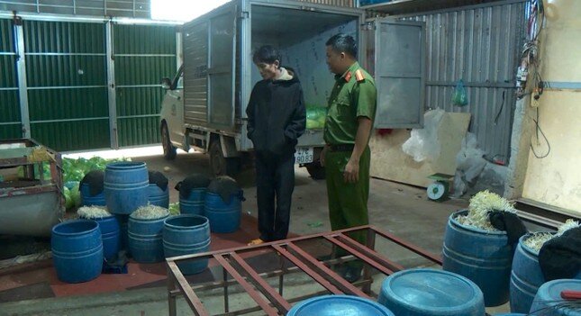 Vụ gần 3.000 tấn giá đỗ ngậm hoá chất tuồn ra thị trường, ai quản lý?