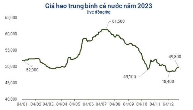 Thấy gì từ giá heo hơi 2024?
