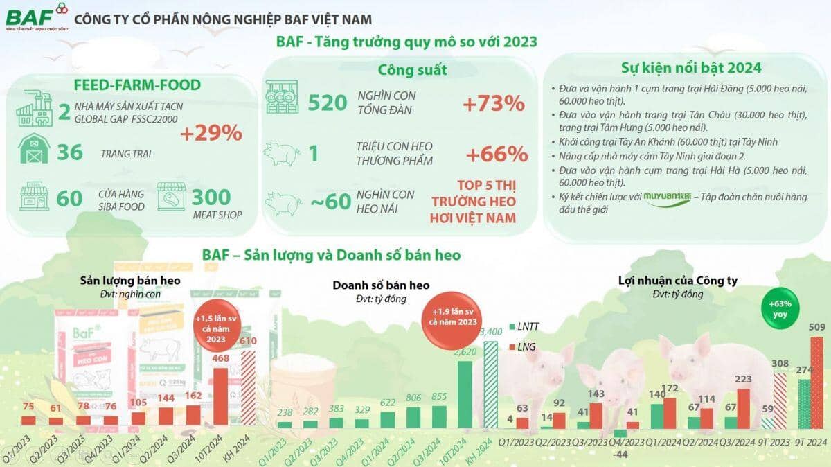 Thấy gì từ giá heo hơi 2024?
