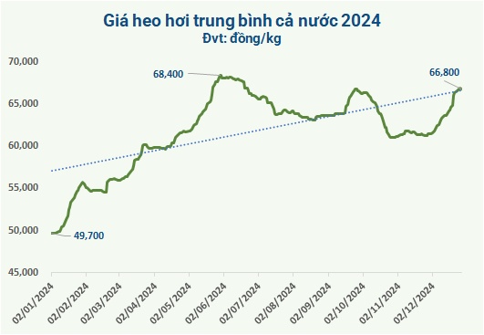 Thấy gì từ giá heo hơi 2024?
