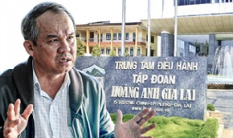 HAGL phải khắc phục gần 1 tỷ đồng vì vi phạm thuế, có tình tiết tăng nặng