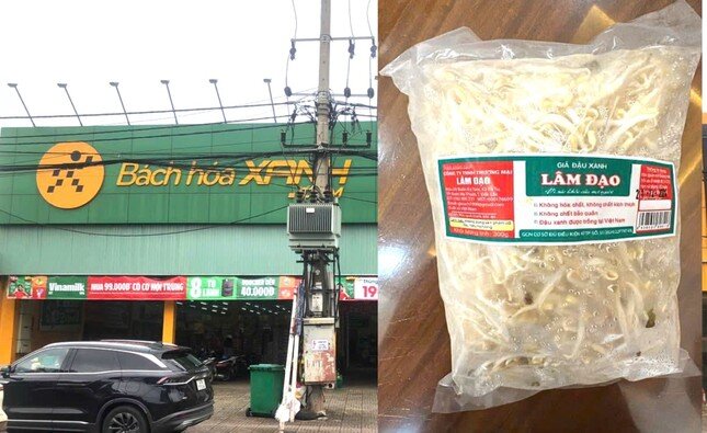 Mới nhất vụ gần 3.000 tấn giá đỗ 'ngậm' chất cấm