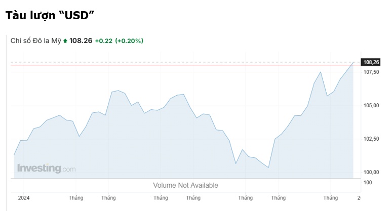 Thị trường tiền tệ toàn cầu 2024: Đồng USD thị uy sức mạnh