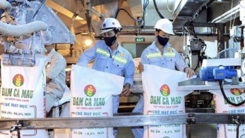 Biên lợi nhuận ngành phân bón dự kiến tăng cao nhờ giá dầu giảm mạnh trong năm 2025