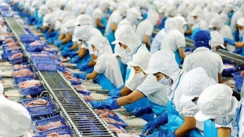 Xuất khẩu thuỷ sản triển vọng tươi sáng năm 2025
