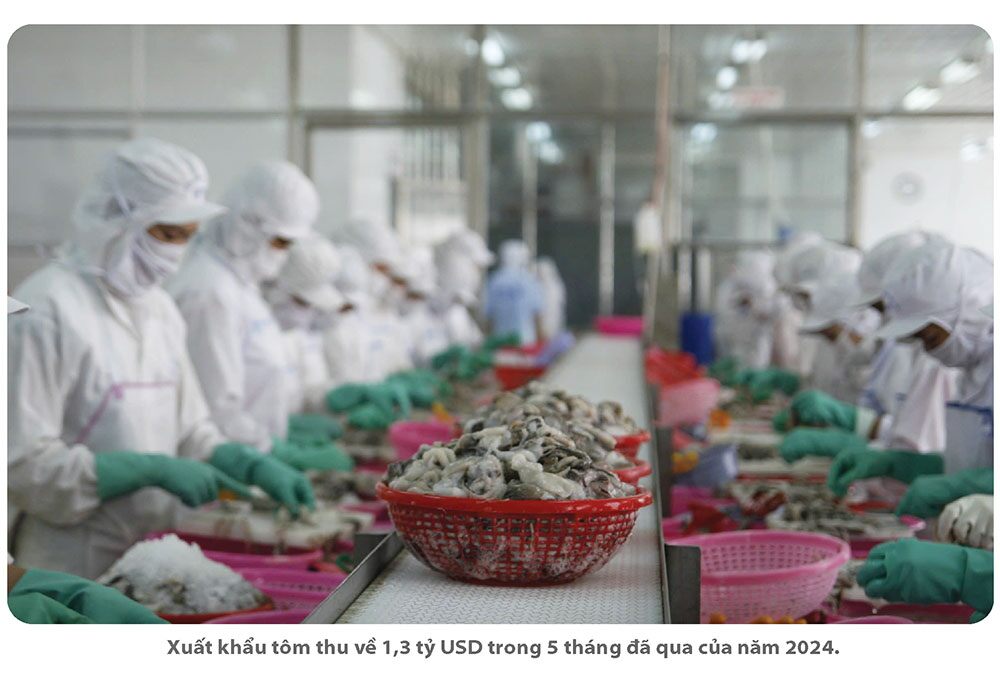 Chú trọng chất lượng tăng trưởng