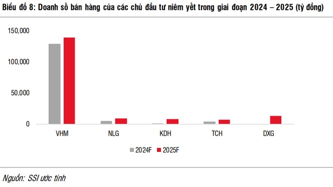 Doanh số bán hàng 2025 của các chủ đầu tư niêm yết sẽ đến từ những dự án nào?
