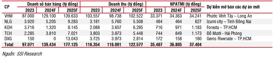 Doanh số bán hàng 2025 của các chủ đầu tư niêm yết sẽ đến từ những dự án nào?