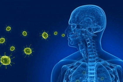 Loại virus đang bùng phát tại Trung Quốc từng xuất hiện tại Việt Nam