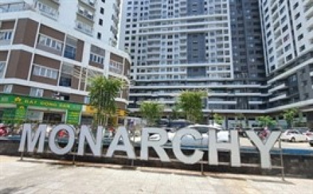 Người thân 2 sếp lớn NDN mua thành công 1 triệu cp