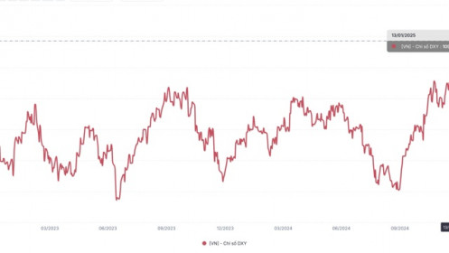 Tỷ giá chịu áp lực lớn khi USD-Index tăng 1,3% trong 2 tuần đầu năm 2025