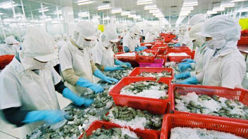 Dự báo lợi nhuận doanh nghiệp thủy sản tăng mạnh năm 2025