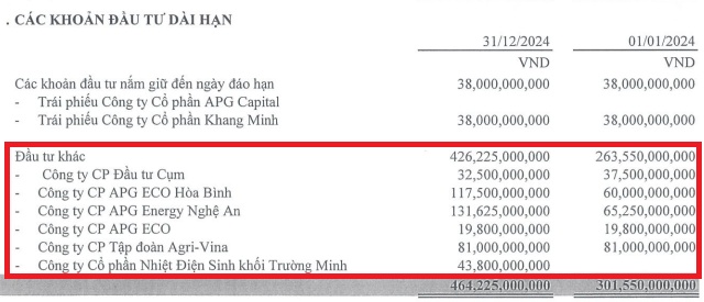 Chứng khoán APG lỗ gần 150 tỷ đồng năm 2024