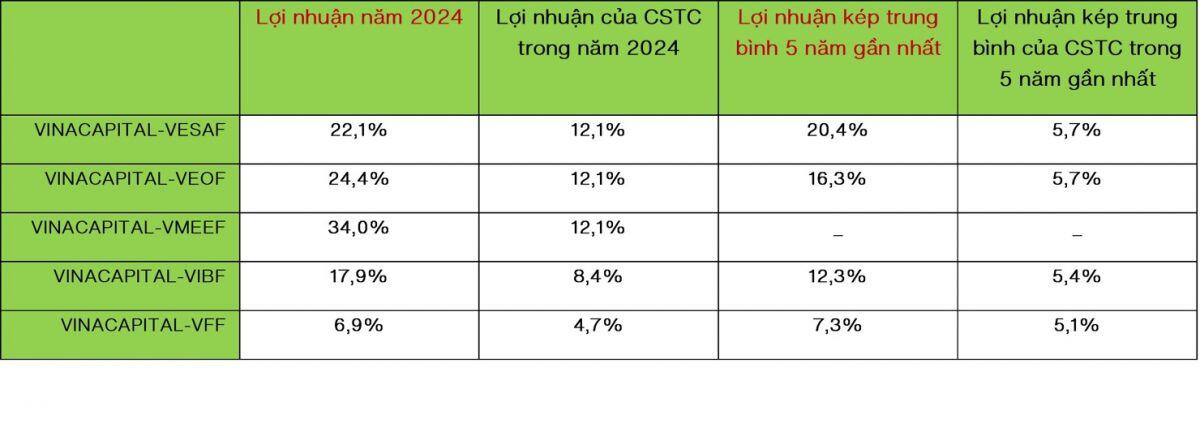 Một quỹ mở của VinaCapital đạt lợi nhuận gần gấp 3 VN-Index năm 2024
