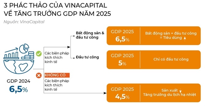 Dò đáy, phá đỉnh 2025