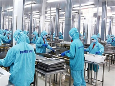 Sao Ta tạo mốc doanh thu mới trong năm 2024