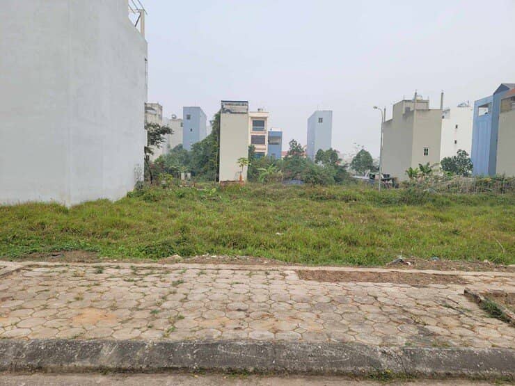 Xuất hiện tình trạng cắt lỗ sau những phiên đấu giá đất nền “dậy sóng” tại Hà Nội