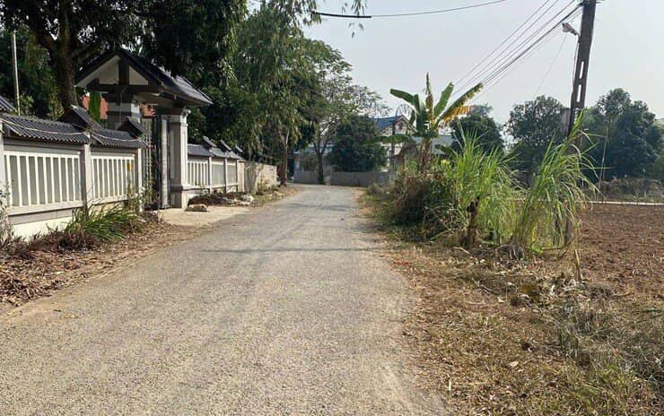 Sau một năm nhà đất, chung cư tăng nóng, thị trường BĐS sẽ thế nào trong năm 2025?