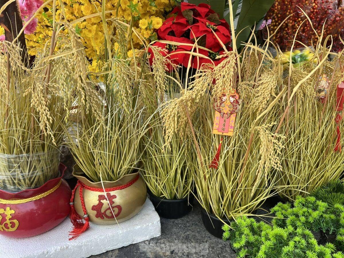 Hoa trái bất tử đắt hàng ngày Tết ảnh 4