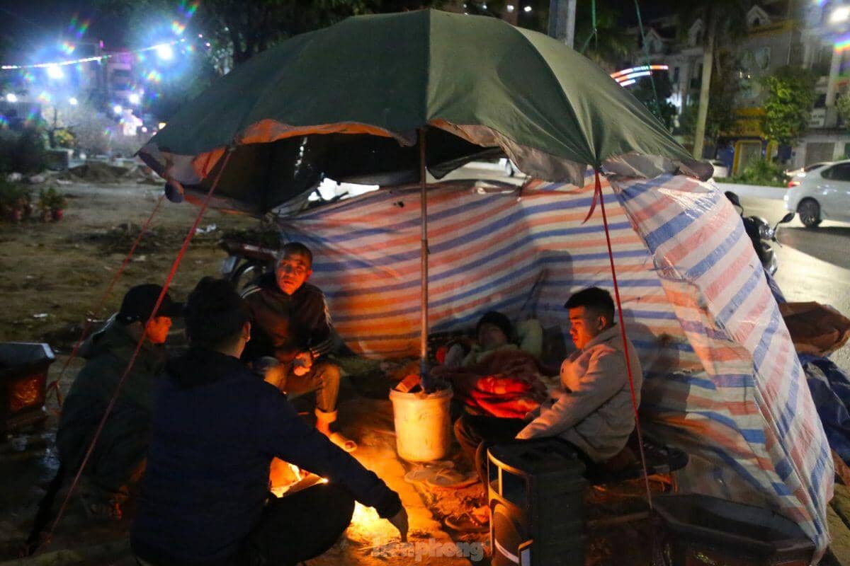Dân buôn đào, quất: 'Chưa năm nào ế như năm nay'