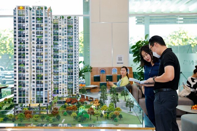 Thị trường bất động sản 2025: Một sắc thái khác ! ảnh 4