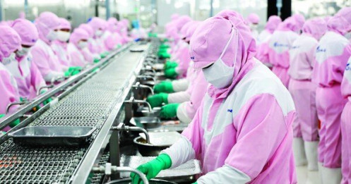 Làm gì để kinh tế Việt Nam cất cánh?