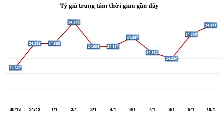 Tỷ giá sẽ tiếp tục mạnh lên trong nửa đầu năm 2025?