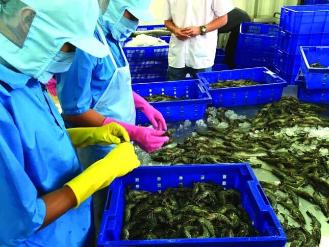 Làm gì để kinh tế Việt Nam cất cánh?