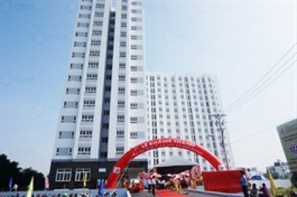 SGR bất ngờ thoát lỗ 2024 nhờ lợi nhuận khác