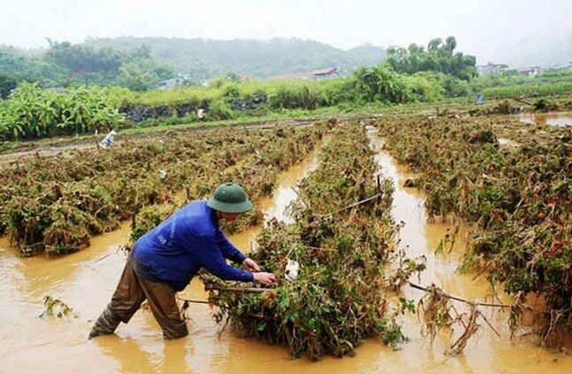 Quy định mới về giá điện, đăng ký thuế từ tháng 2