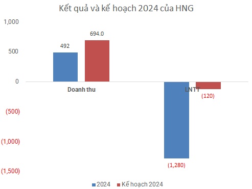 HNG tiếp tục lỗ gần 1.3 ngàn tỷ trong năm 2024