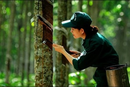 HRC có Chủ tịch mới, lợi nhuận cao nhất 12 năm