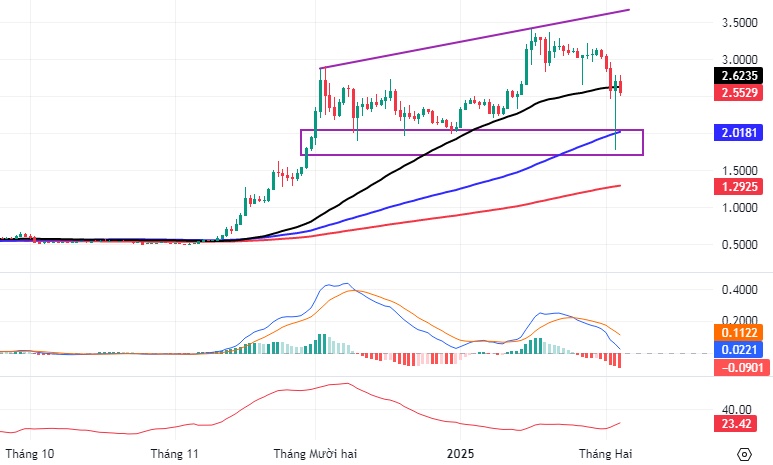 Báo cáo Tiền ảo tháng 2/2025: Tín hiệu tốt xấu đan xen