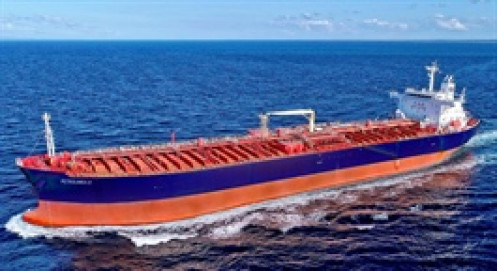 Công bố chậm thông tin phạt thuế, Vipco nói do sơ suất