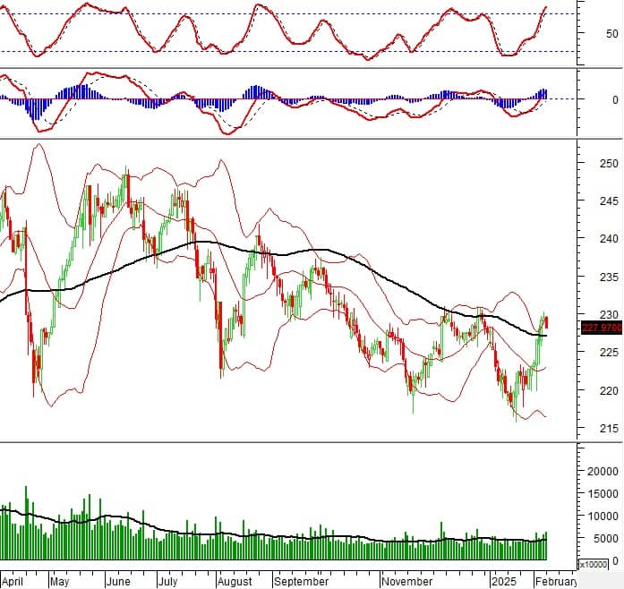 Vietstock Daily 11/02/2025: Rung lắc khi test đỉnh cũ
