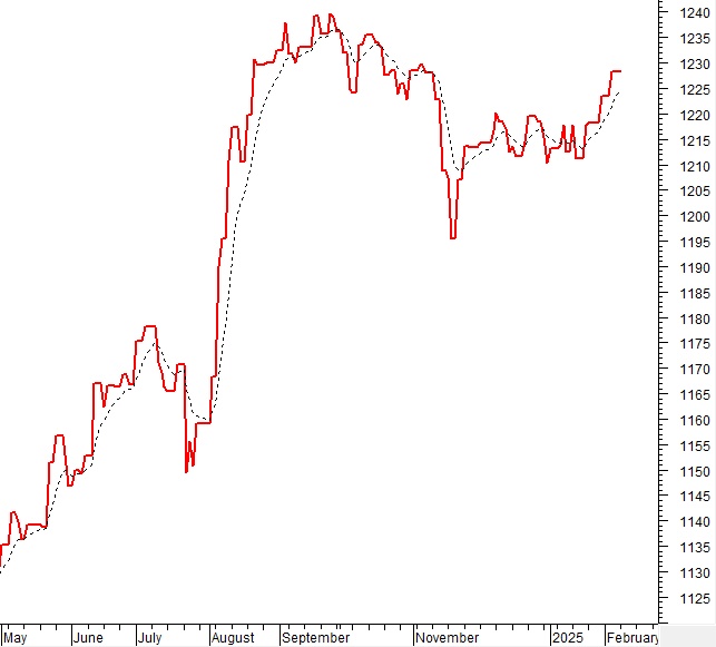 Vietstock Daily 11/02/2025: Rung lắc khi test đỉnh cũ