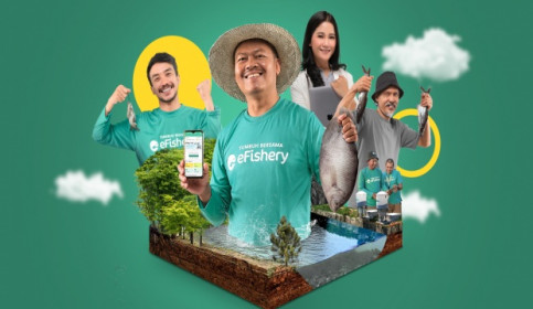 Một startup Indonesia bị tố thổi phồng tới 600 triệu USD doanh thu