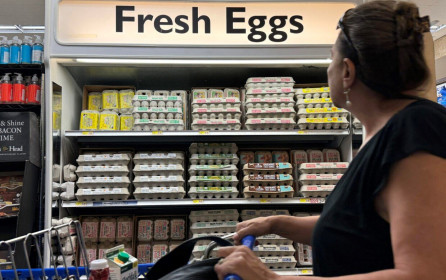 Triển vọng giảm lãi suất mờ mịt khi lạm phát của Mỹ bất ngờ tăng mạnh