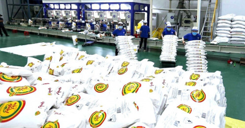 Giá gạo xuất khẩu giảm mạnh và nỗi lo rủi ro thị trường