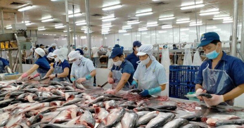 Dự báo bất ngờ cho thủy sản Việt trước 'hàng rào' thuế quan Mỹ